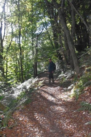 Paul Mosley at Hackfall Woods