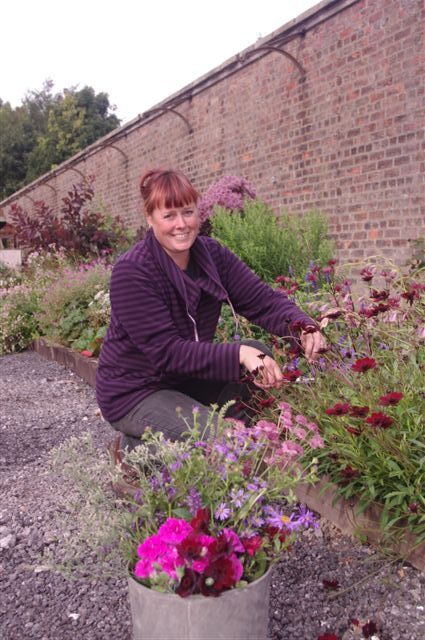 Jenny Gaunt of Dark Star plants, East Rounton