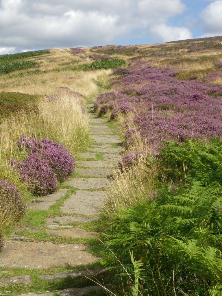 The Cleveland way weaves enticingly over the North York Moors.